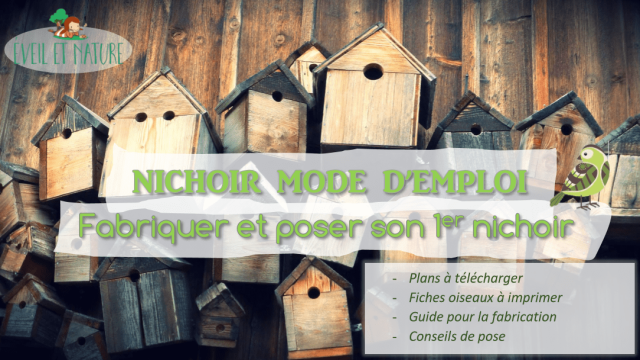 Nichoir mode d’emploi: fabriquer et poser son premier nichoir