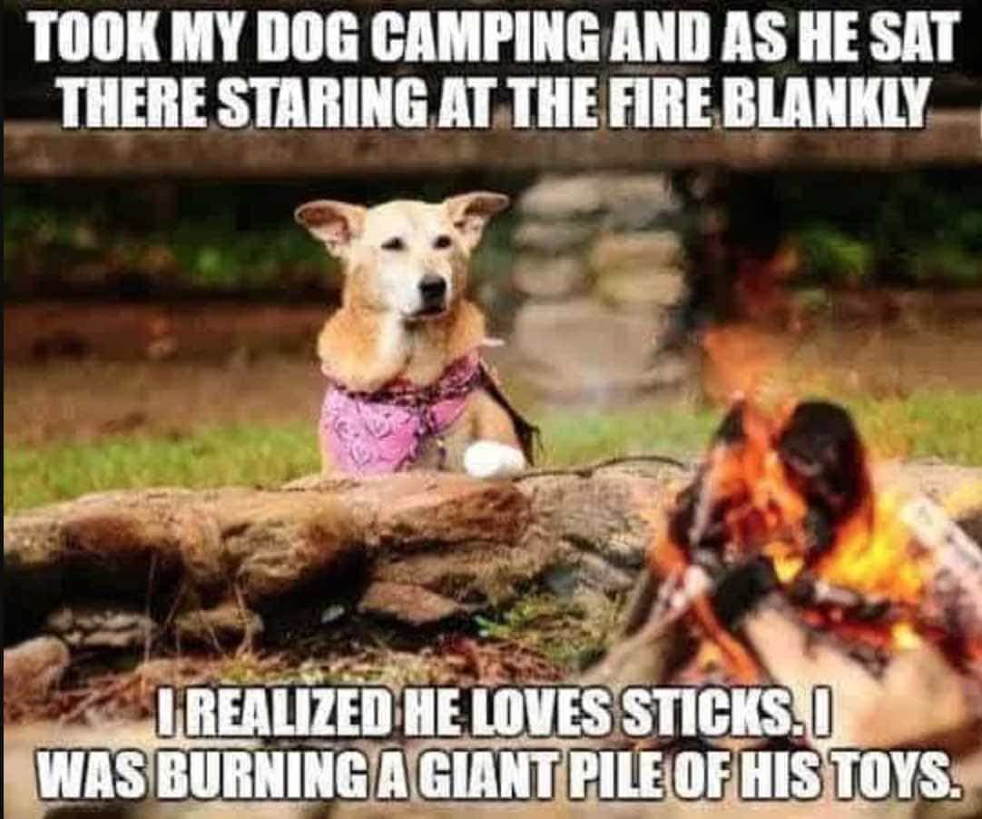 Meme de camping en glamping