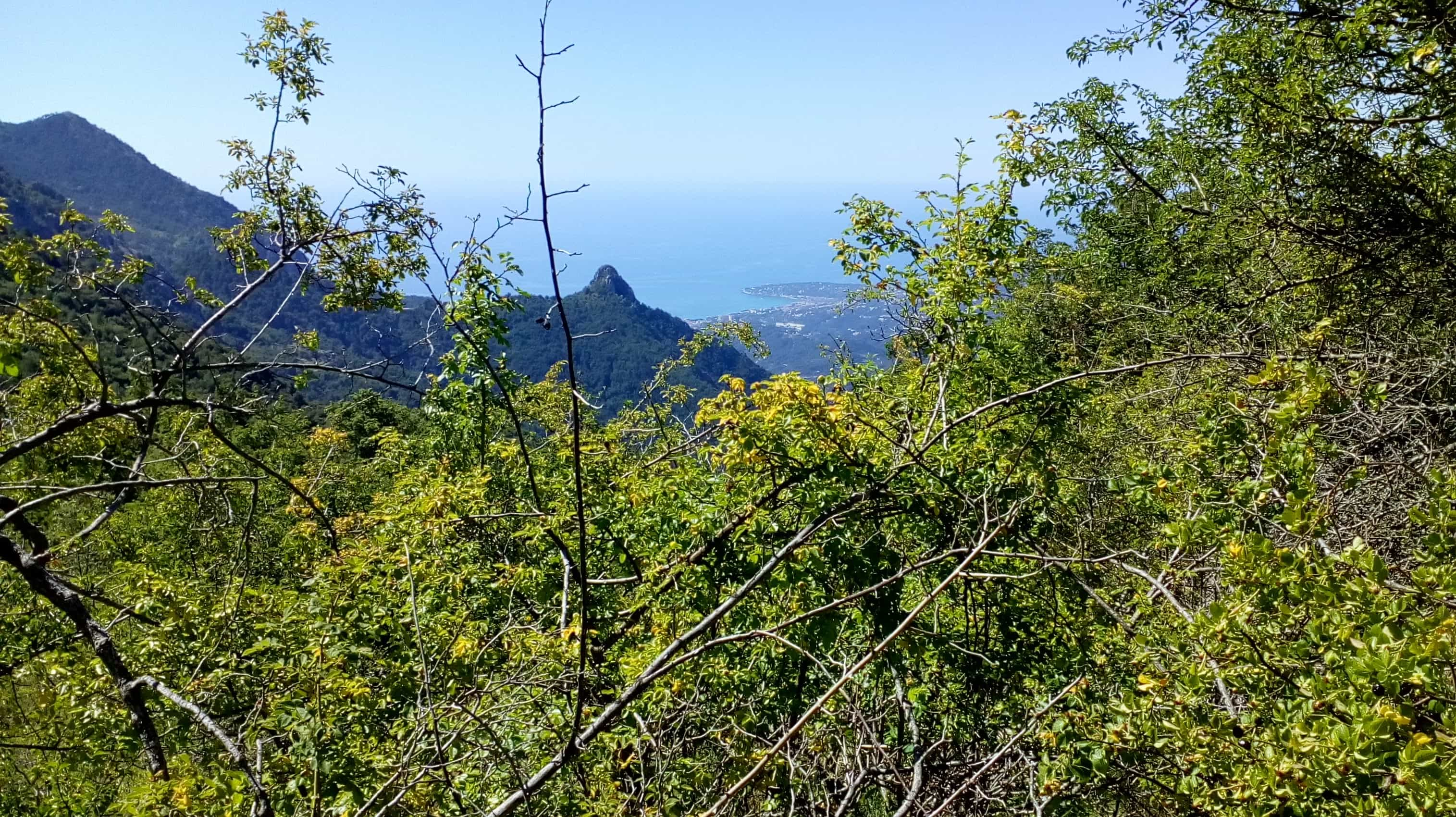 Vue sur la côte