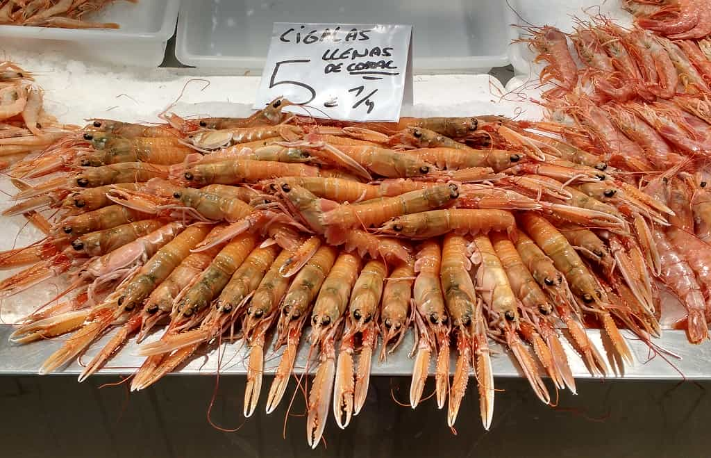 Various unidentified seafood central market Cadiz