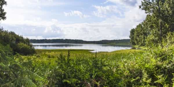 Lac De Cazaux