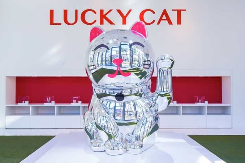 Lucky Cat