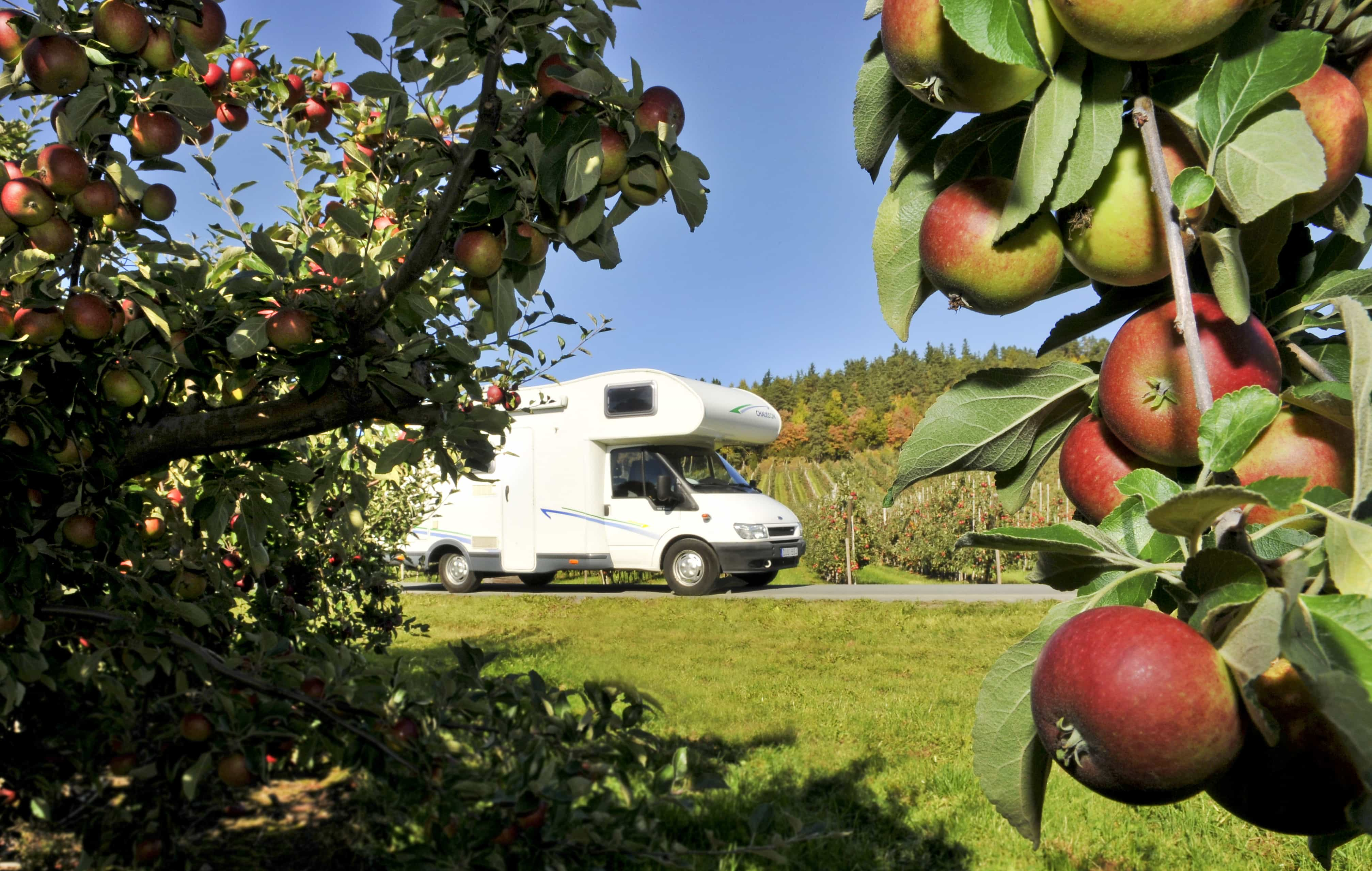 Motorhome-Apple-Orchard-Jönköping-.jpg