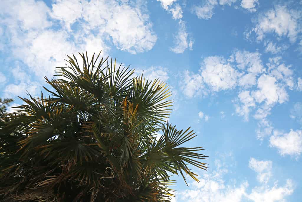 Le ciel est toujours bleu en été, en Dordogne, le saviez-vous ? 😉