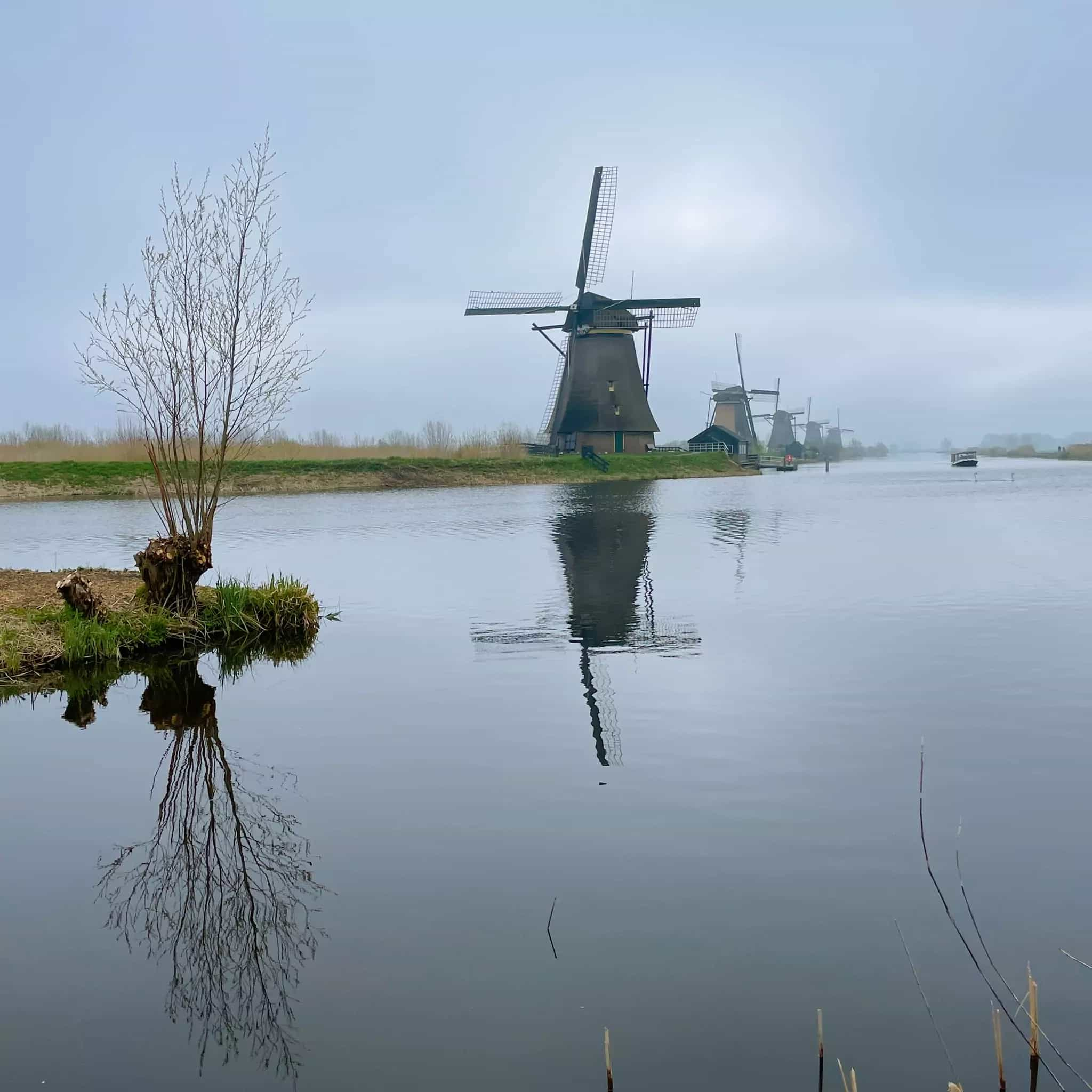 The 19 windmills of Kinderdijk in the mist