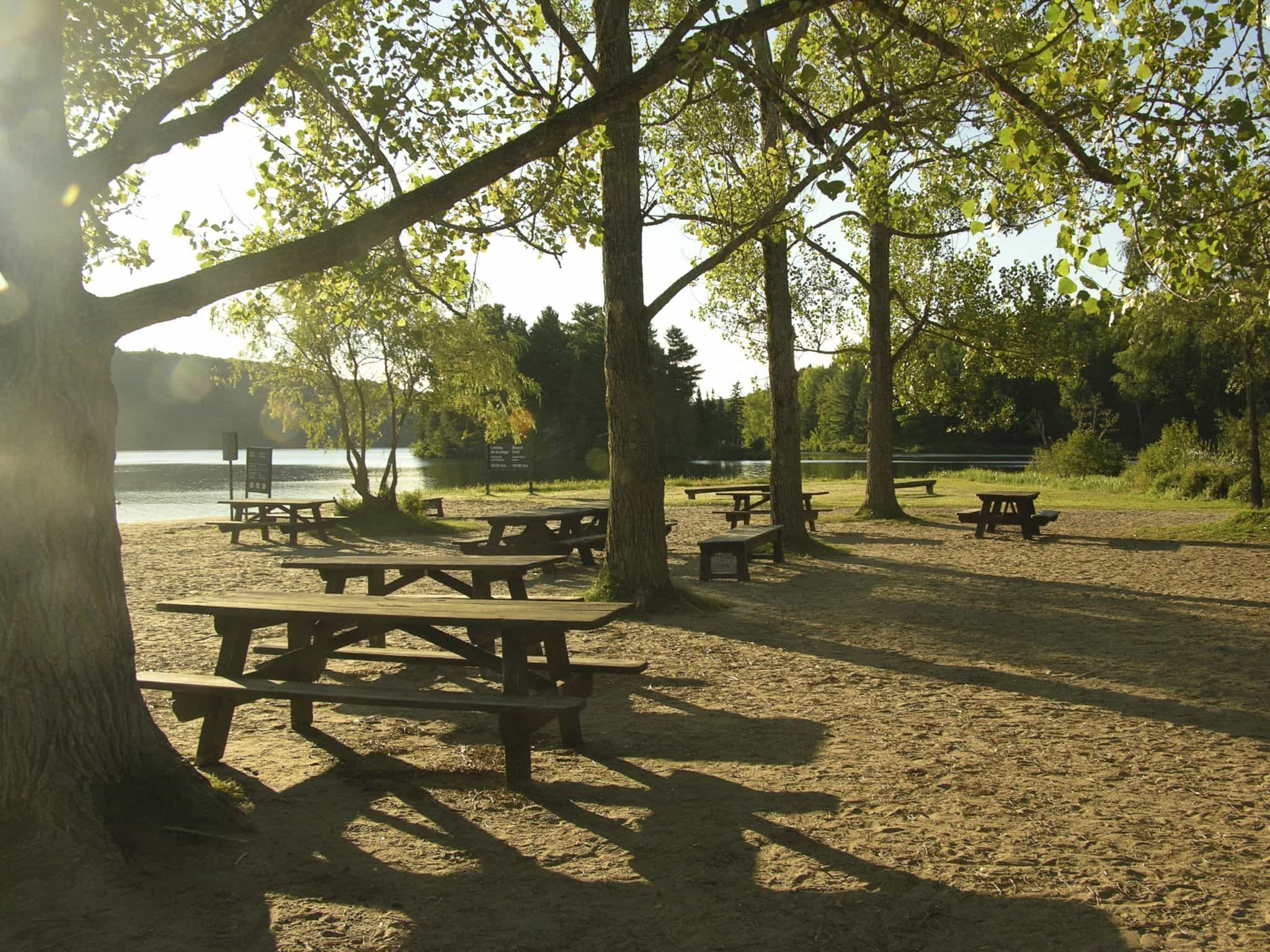 Plage dans le parc de la Gatineau