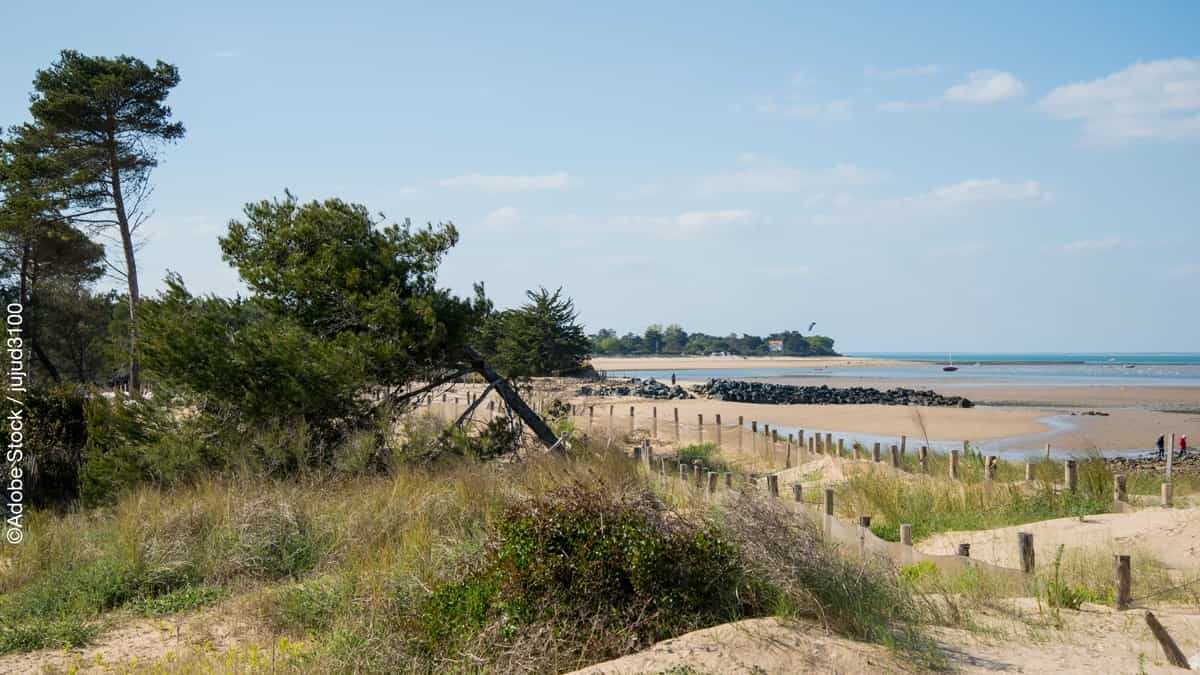 plage ile de ré