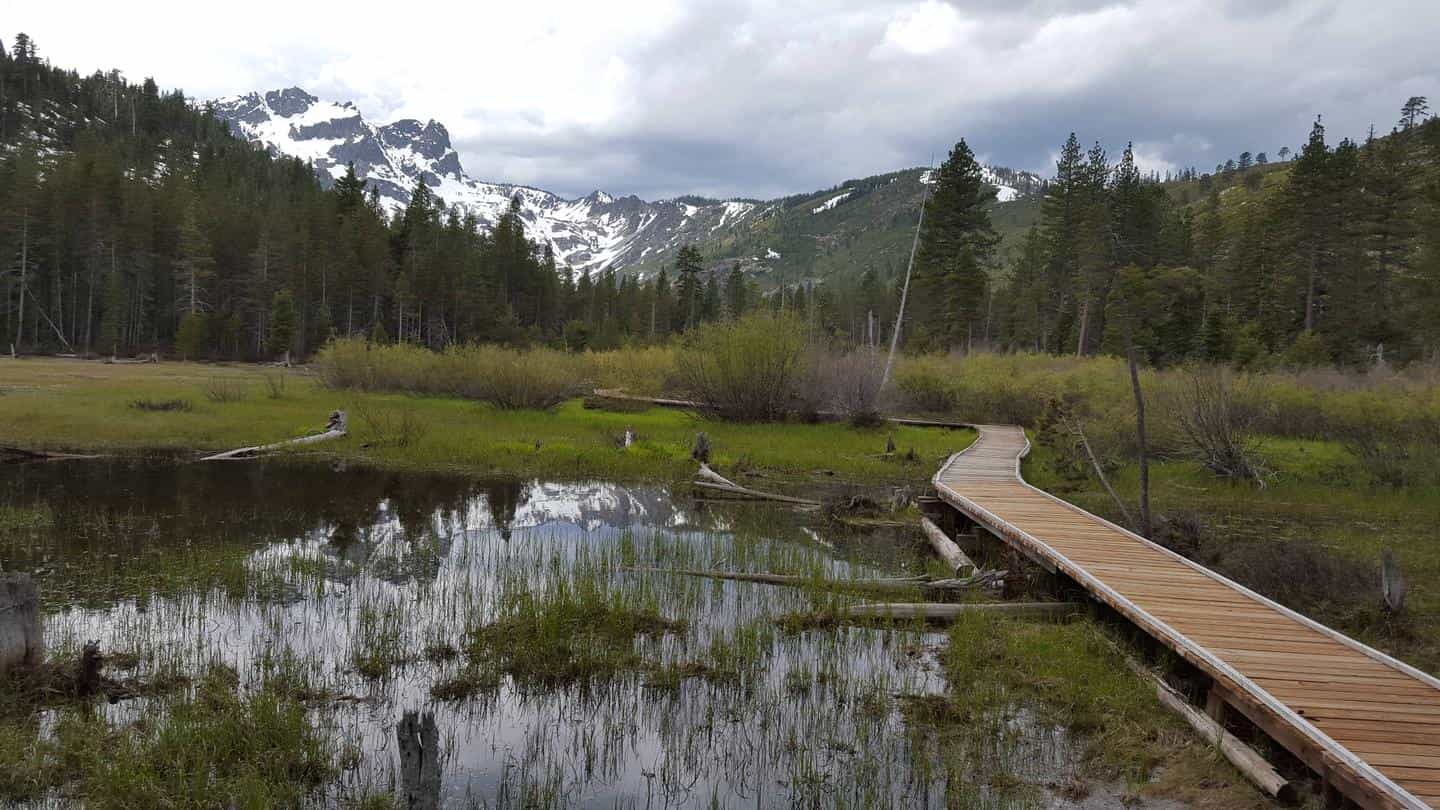 Sardine Lake