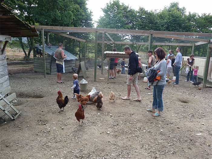 Séjour camping acceptant les animaux ouvert à l'année