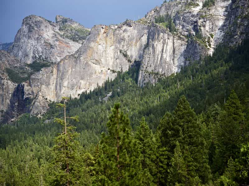 Sierra National Forest