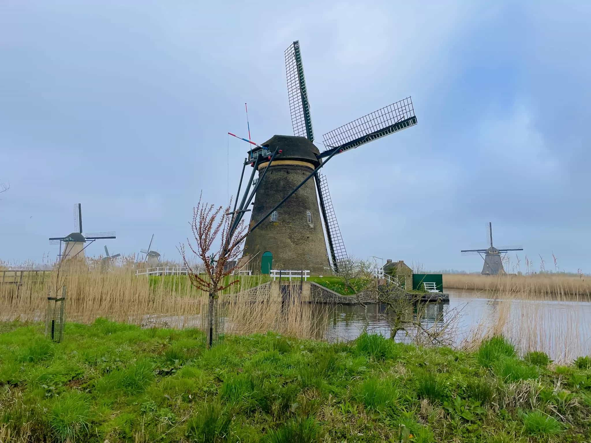 Windmill in Kinderdijk